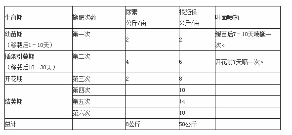 香蕉视频污污下载缓释肥农技专家推荐豇豆施肥技术.jpg