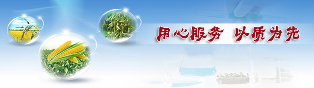 香蕉视频污污下载香蕉视频污版在线观看，用心服务，以质为先