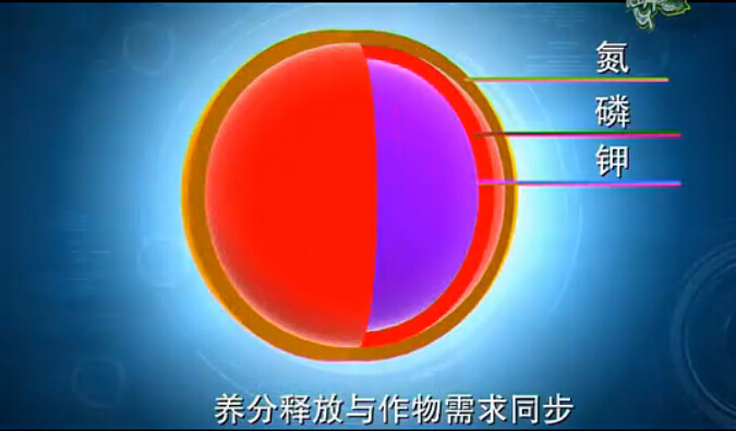 缓释肥养分释放于作物需求同步 缓释肥养分释放于作物需求同步