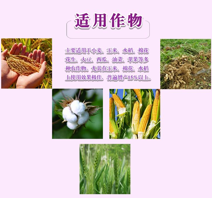 21-9-15_r3_c1.jpg