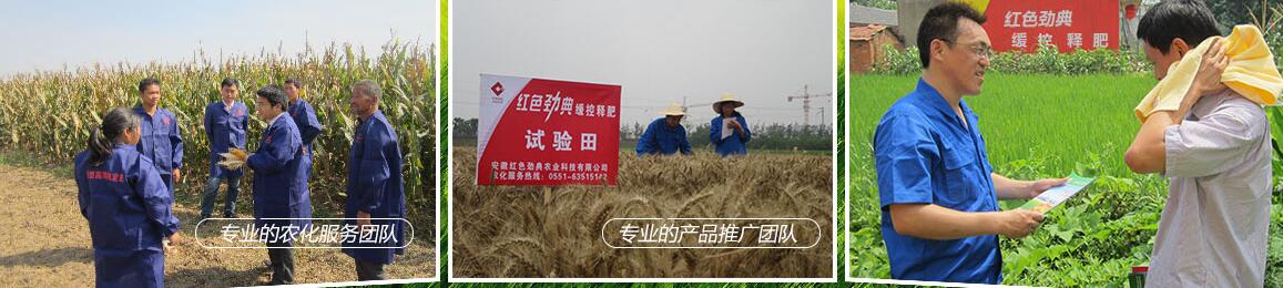香蕉视频污污下载缓释尿素