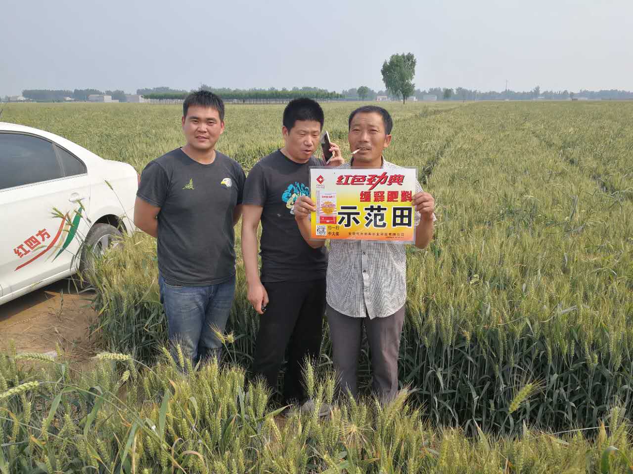 香蕉视频APP黄片施用香蕉视频污污下载缓释肥，效果好！