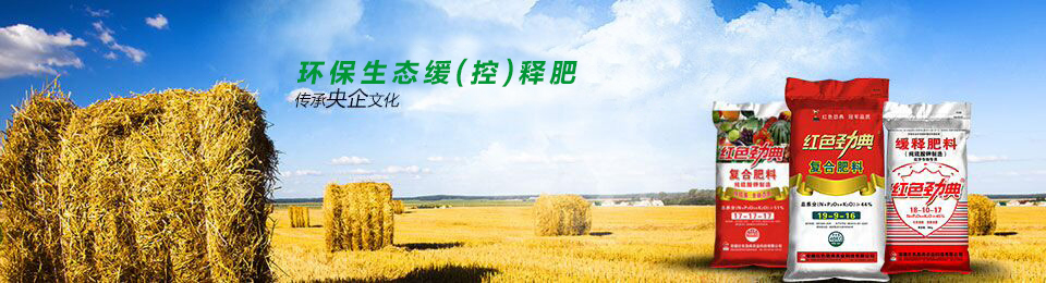 香蕉视频污污下载专用肥