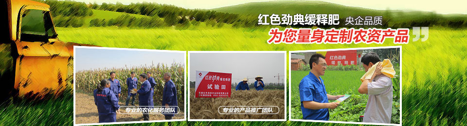 香蕉视频污污下载，冠军品质，五星服务